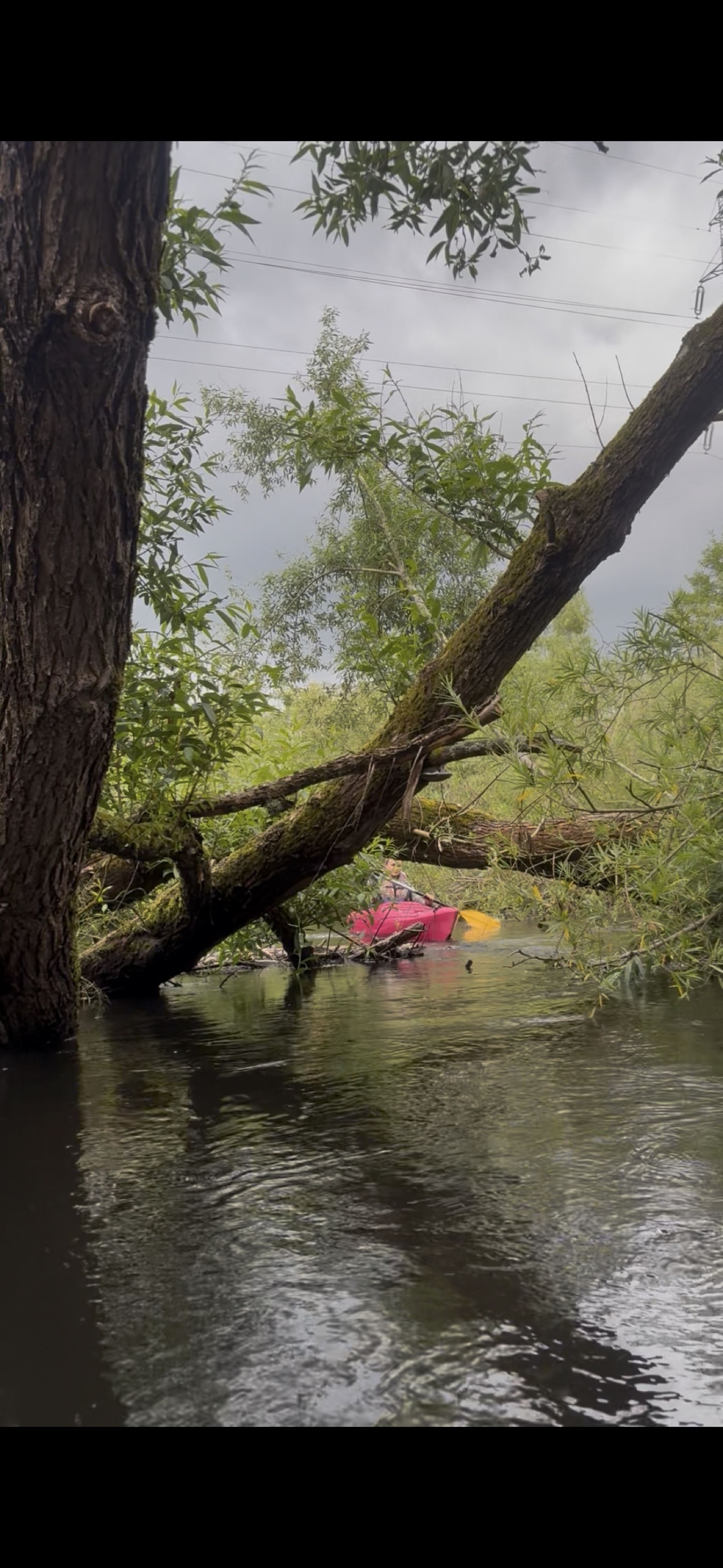 Meandrami rzeki Redy - różowy kajak jednoosobowy na trasie